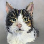 Pet portraits