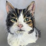 Rupert in pastel