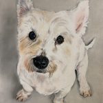 Westie in pastel