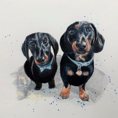 Two pet portraits
