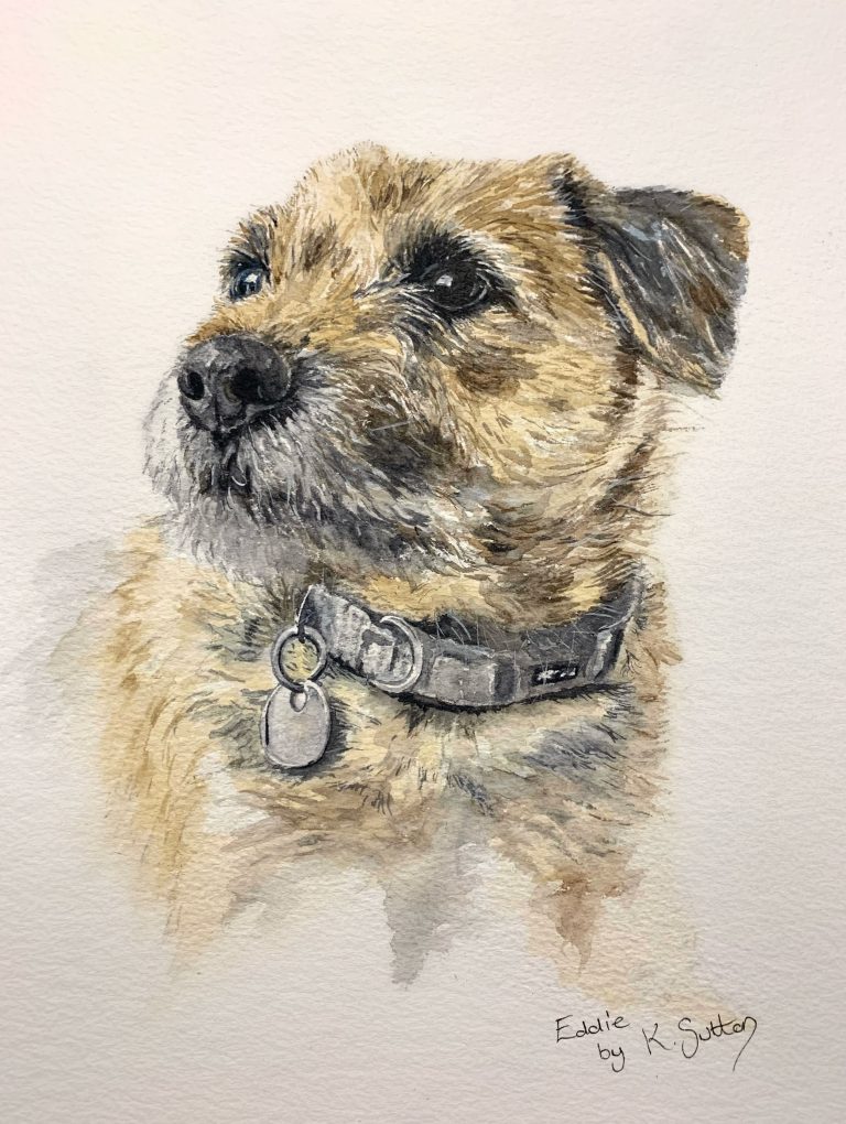 pet portraits