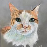 Punkin in Pastel