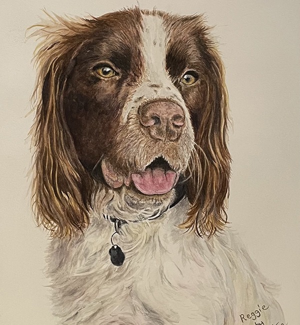 dog portraits