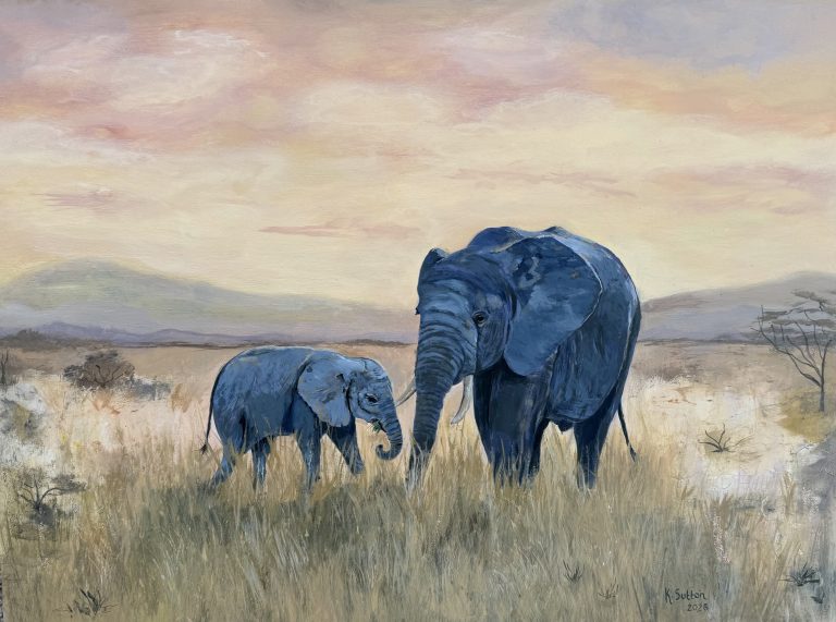 staffordshire artist karen sutton original wIldlife art of asian eephants in acrylic on board