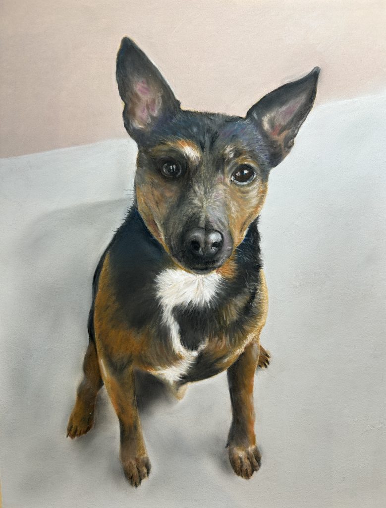 Pet Portraits Kinver