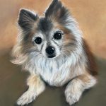 karen sutton art original art and pet portraits Milo