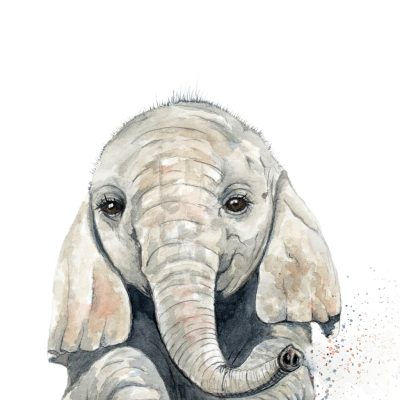 Baby elephant - Karen Sutton Art