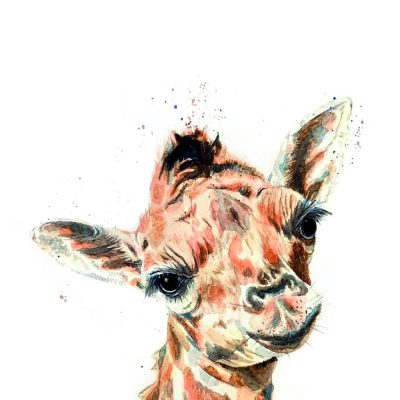 baby giraffe - Karen Sutton Art
