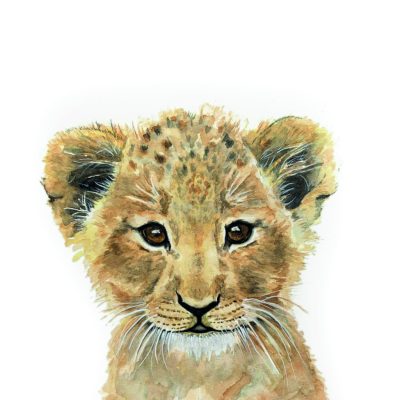 baby lion- Karen Sutton Art
