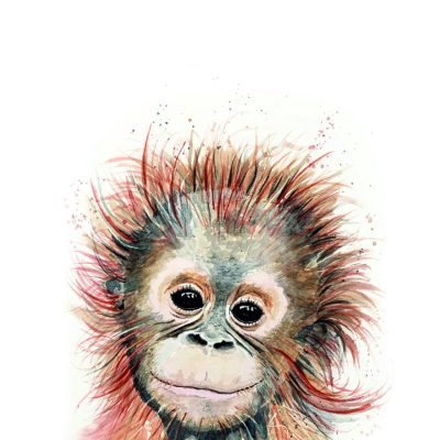 baby orangutan- Karen Sutton Art