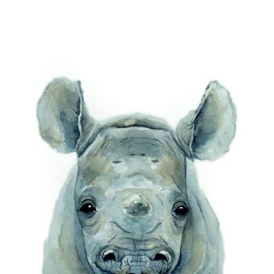baby rhino - Karen Sutton Art